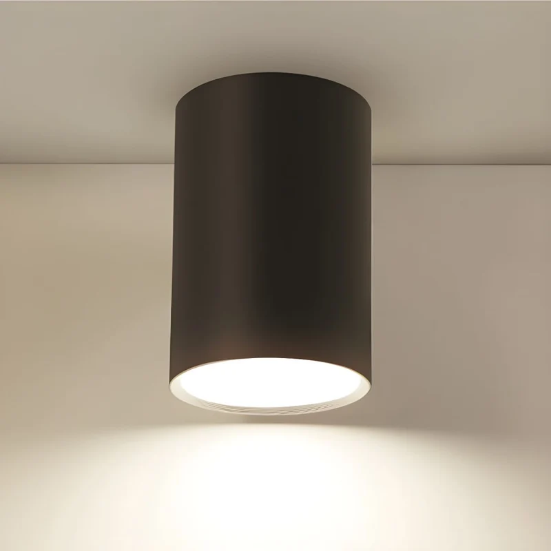 Contemporary Black LED Cylinder Ceiling Lamp Fixture | Lenvra