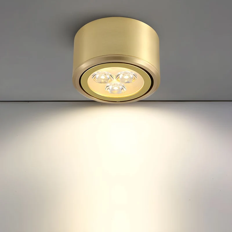 Gold LED Flush Mount Ceiling Light Fixture | Lustera