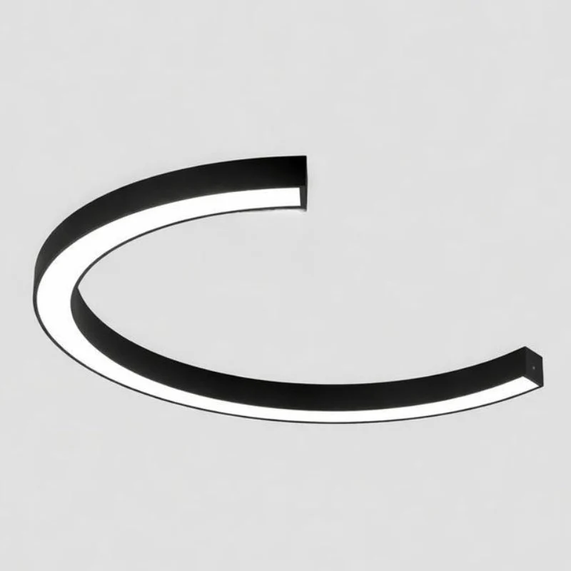 Contemporary LED Arc Ceiling Light Modern Style | Ercina