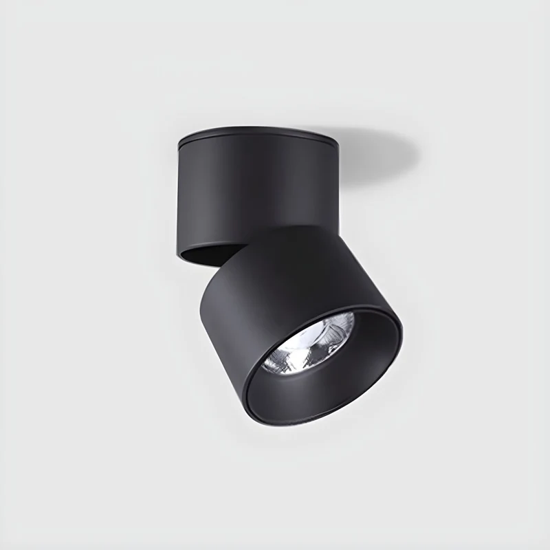 Contemporary LED Flush Mount Ceiling Light | Lumeor