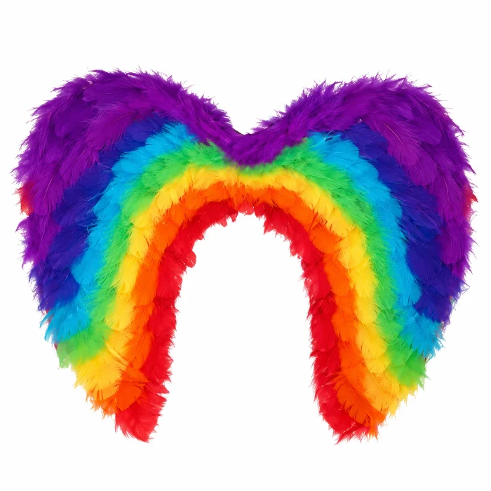 Engelenvleugels veren regenboog