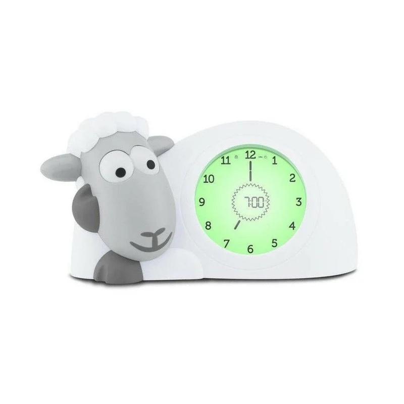 Zazu slaaptrainer Sam het Schaap