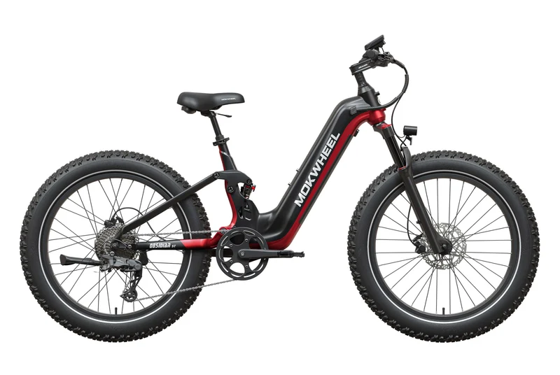Mokwheel Obsidian ST 2.0 Ebikel