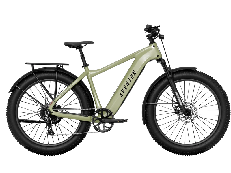 Aventon Aventure 3 Step Over