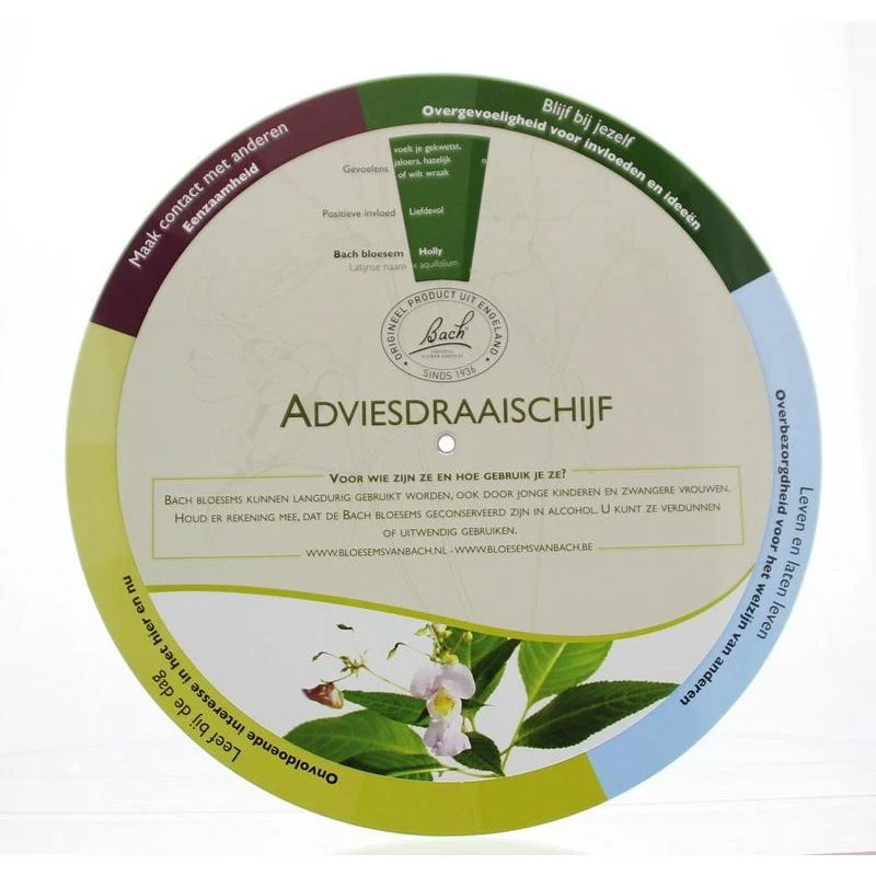 Bach Advies draaischijf