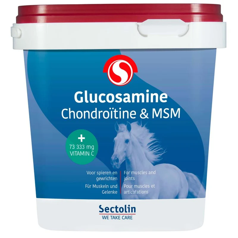 Glucosamina, condroitina e MSM