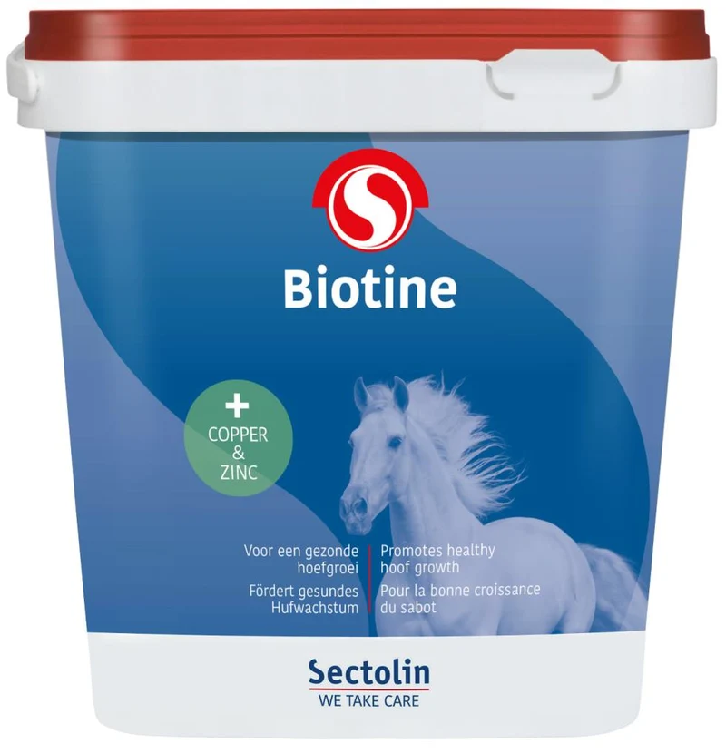 Biotina 3 kg
