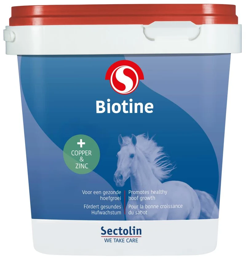 Biotina 1kg