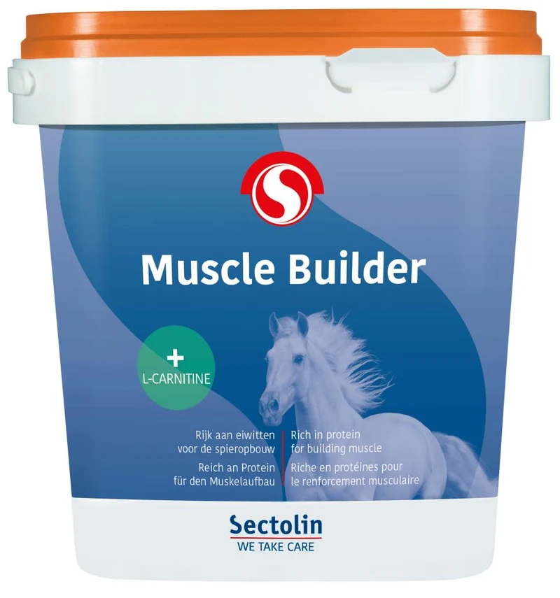 Costruttore Muscolare