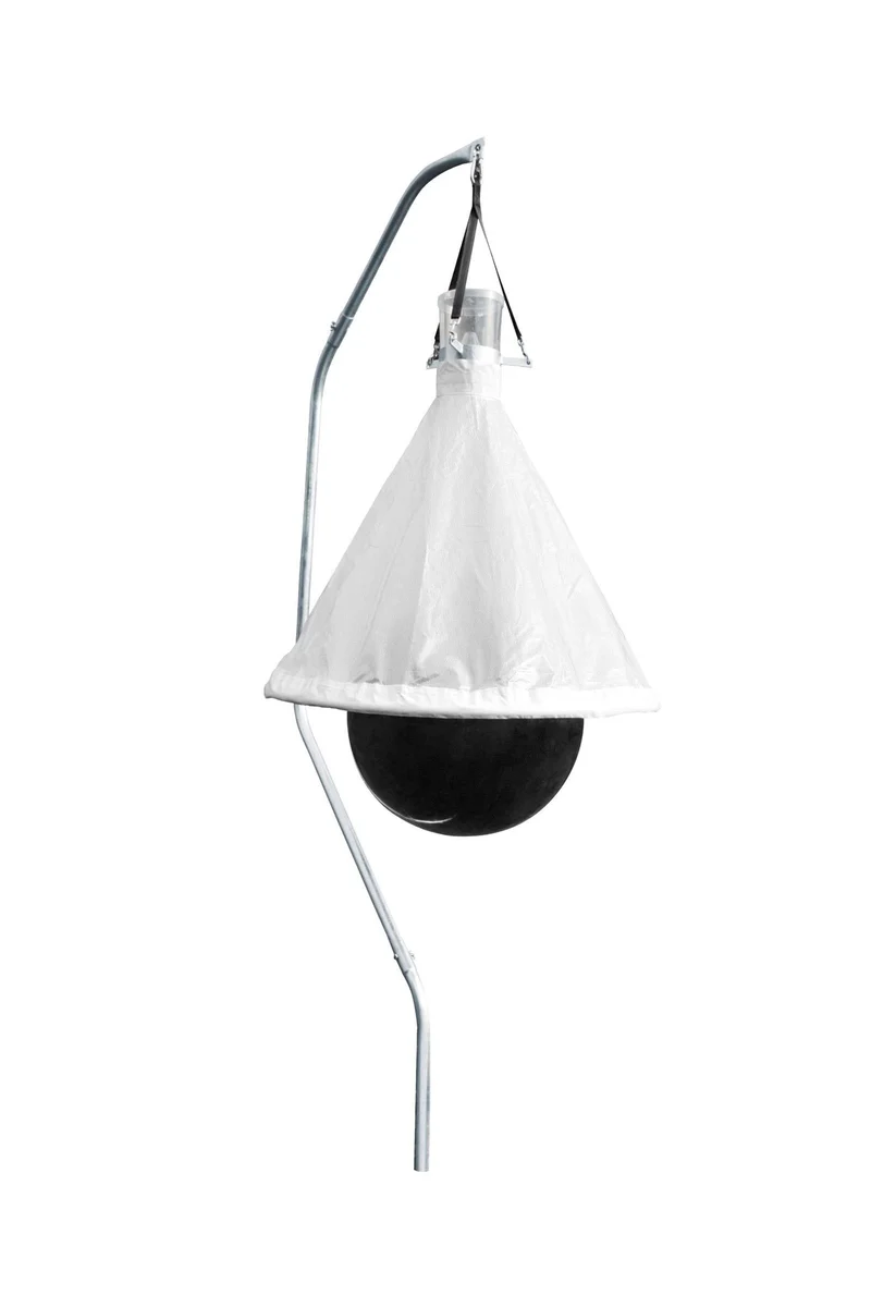 TaonX dazenval White One Size