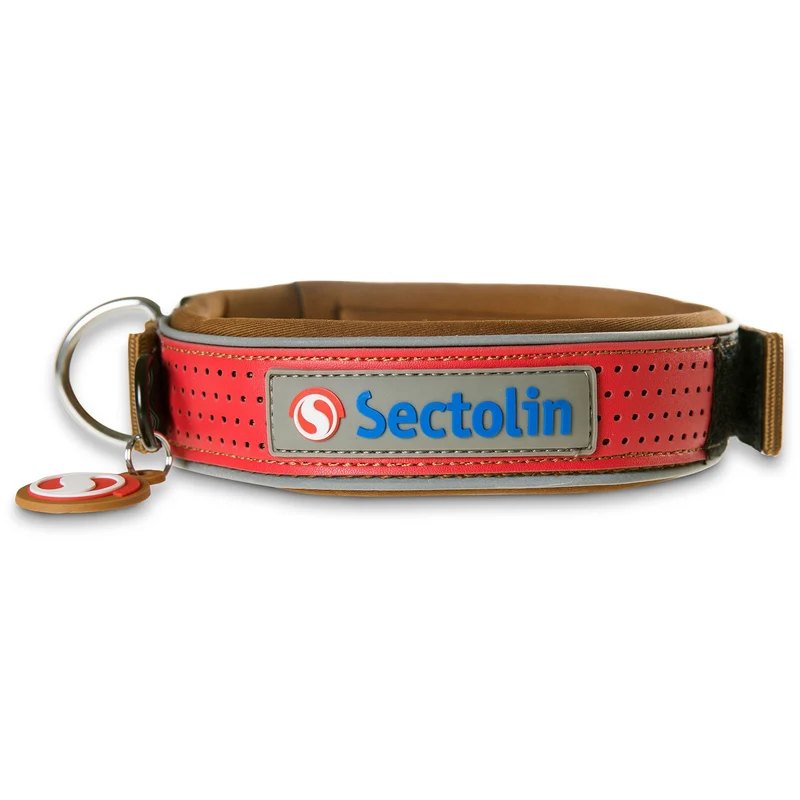 Outdoor Halsband Brown/Red XXS