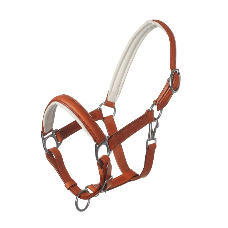 MHS Capestro in Pelle Mocca