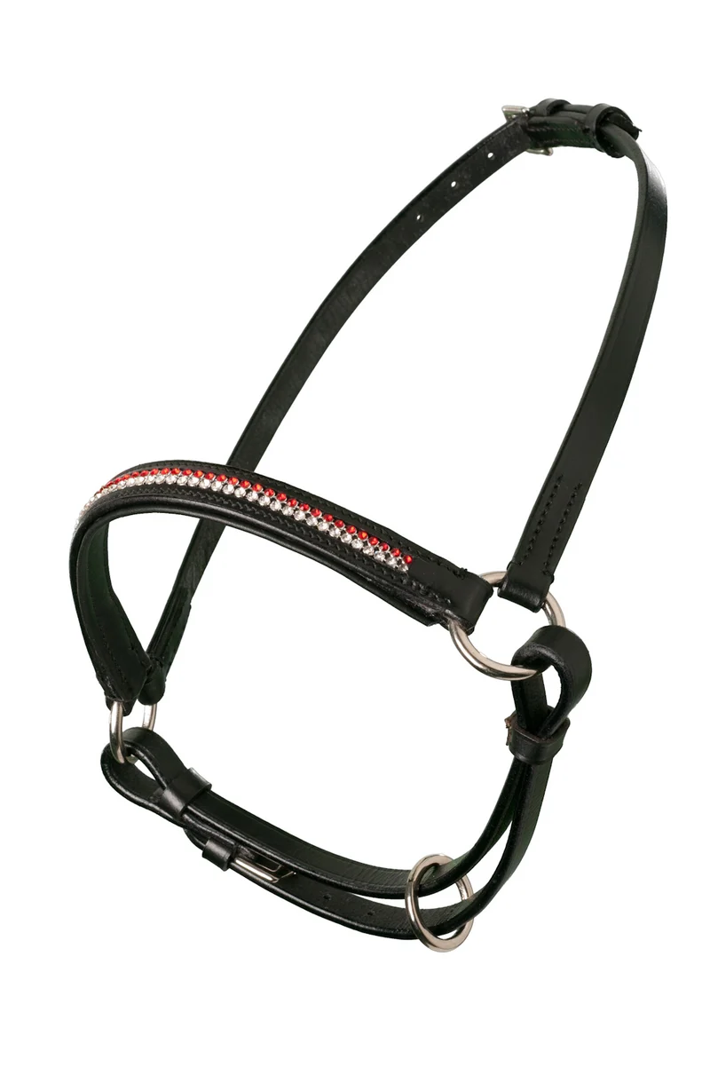 MHS Halter da esposizione Pezula