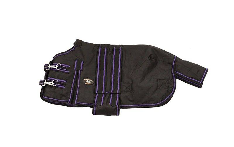 MHS Coperta per Puledro con Pannello Addominale 100gr