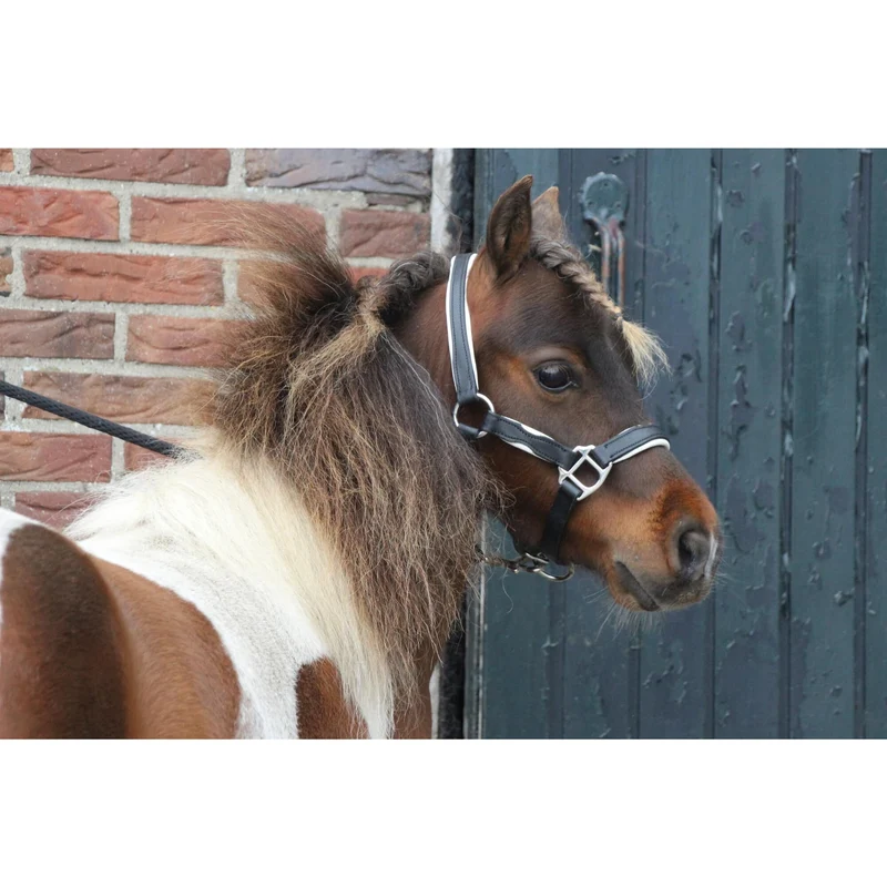 MHS Leren Capestro Bicolore