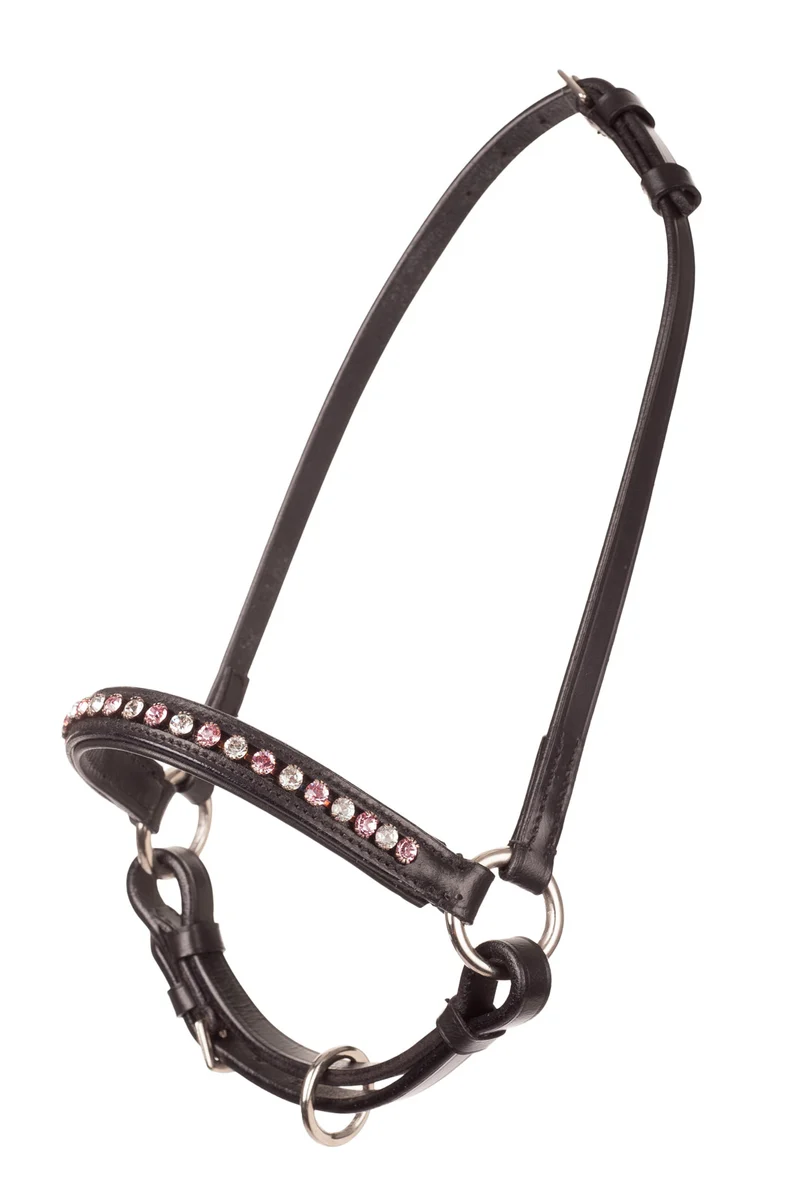 MHS Capezza da esposizione Mon Cherie Multicolore