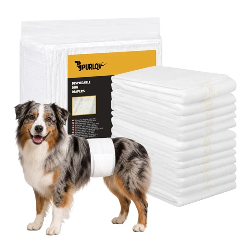 Honden Luier voor Reuen L 12 Stuks – Wegwerpluiers voor Reu – Buikband – Incontinentie – Buikomvang 45-60 cm