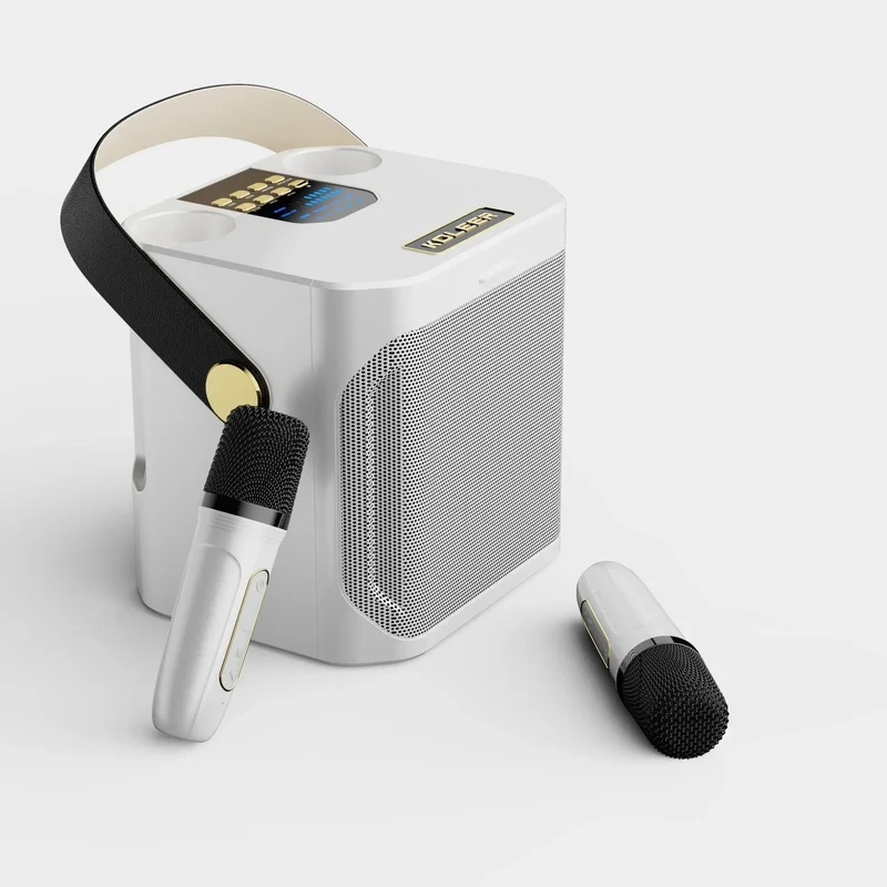 Draagbare Karaoke Boombox met Dubbele Microfoon en Bluetooth