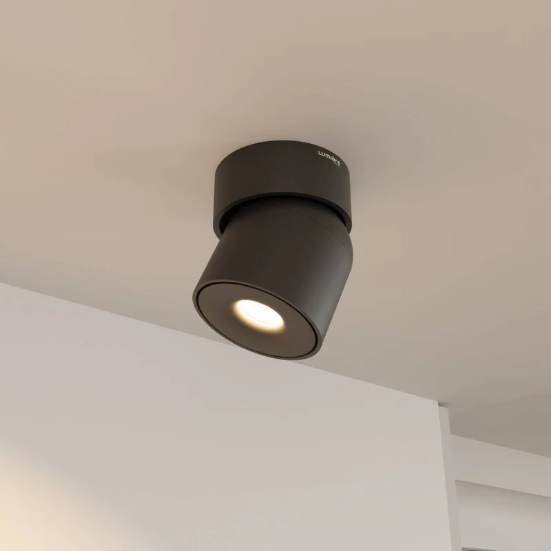 Verstelbare plafondlamp met draaibare lichtkop en warm 2700k licht | Sansoti