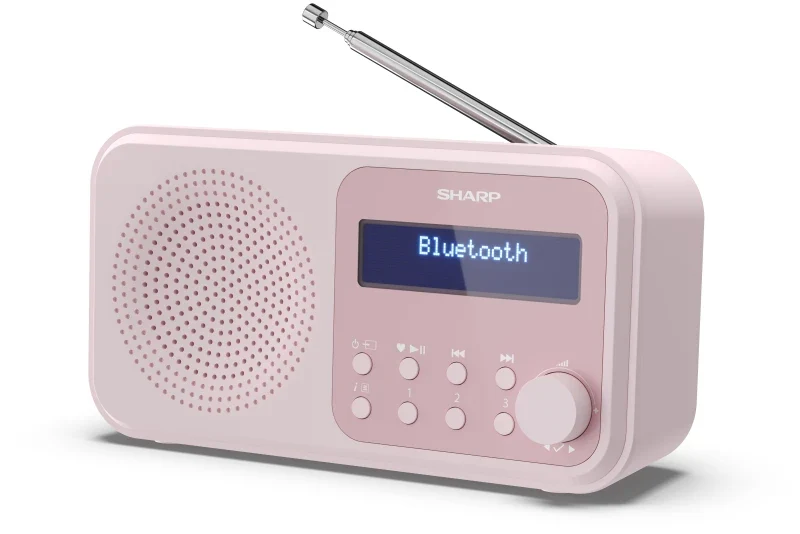 Sharp DR-P420 ROZE draagbare radio met klok