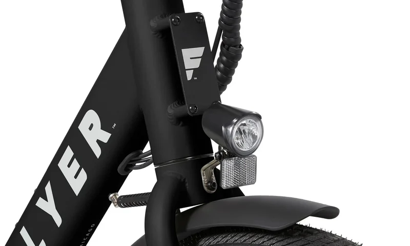 eBike Radio Flyer Via - Sage Green - In a Box