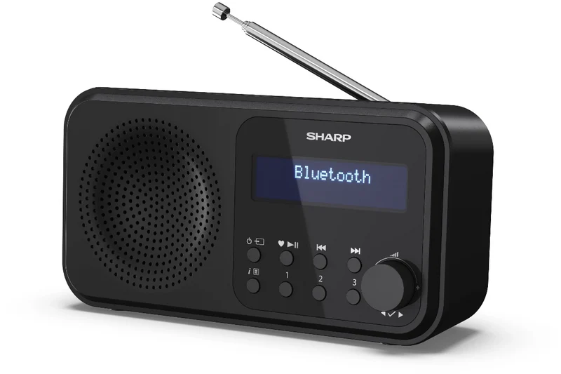 Sharp DR-P420BK ZWART draagbare radio met klok